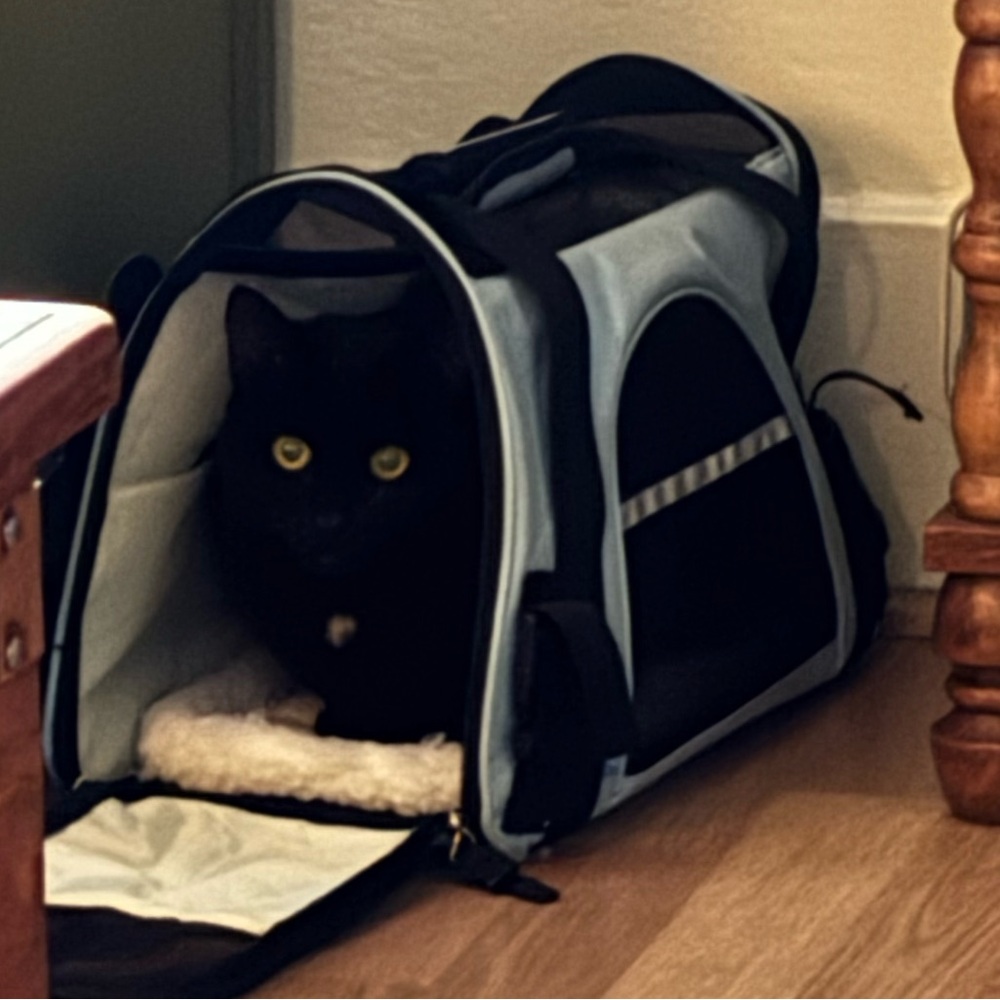 OxGord Pet Carrier Soft Sided Cat Dog Comfort FAA Airline Approved Travel Bag